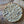 Maxi cookie