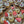 Mignardises