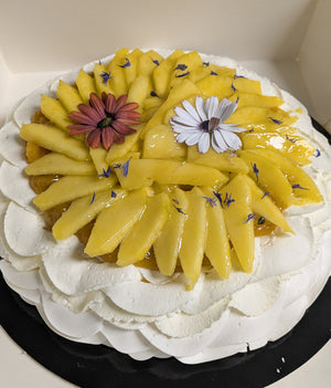 Pavlova exotique : Mangue Passion
